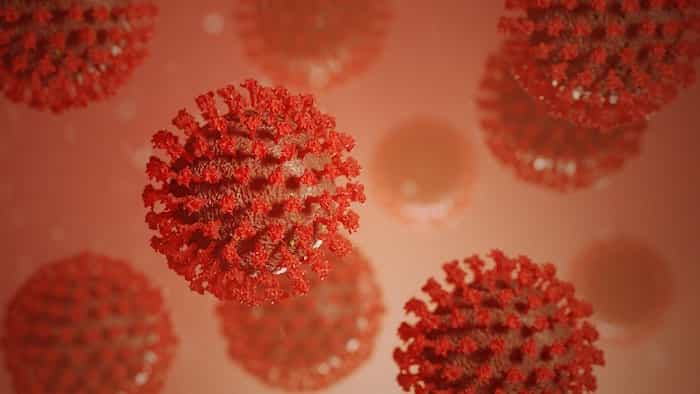 Virus vistos a través de un microscopio