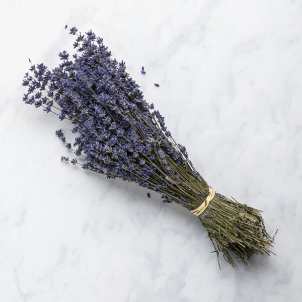 Lavanda para eliminar los pecicillos de plata