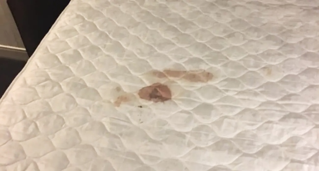 Quitar manchas de sangre de un colchón