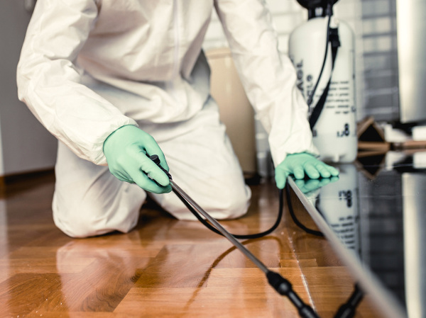 Fumigación de una plaga en todos los rincones de una estancia de la vivienda