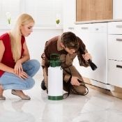 Servicio de fumigación - Aplicación del tratamiento de fumigación