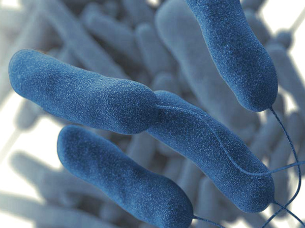 Hacer una limpieza del circuito de aire para evitar bacterias