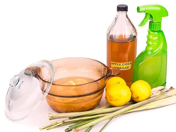 Remedios de casa para eliminar garrapatas en casa