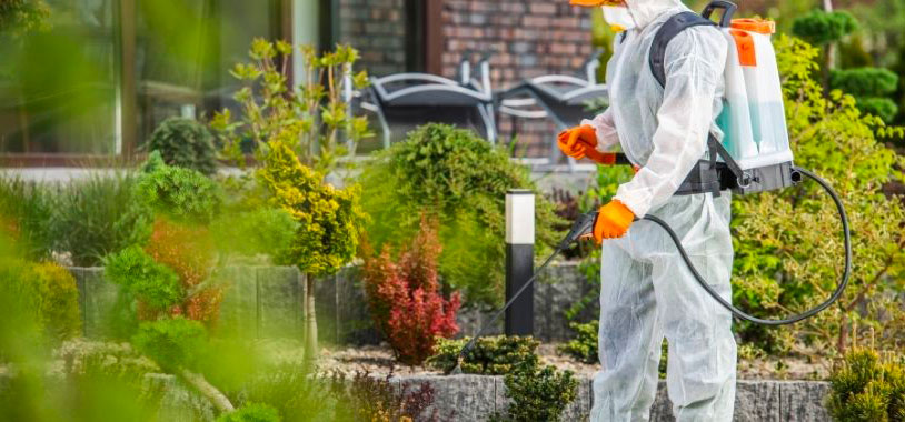 Servicio de fumiga ión de jardines y zonas verdes en Madrid