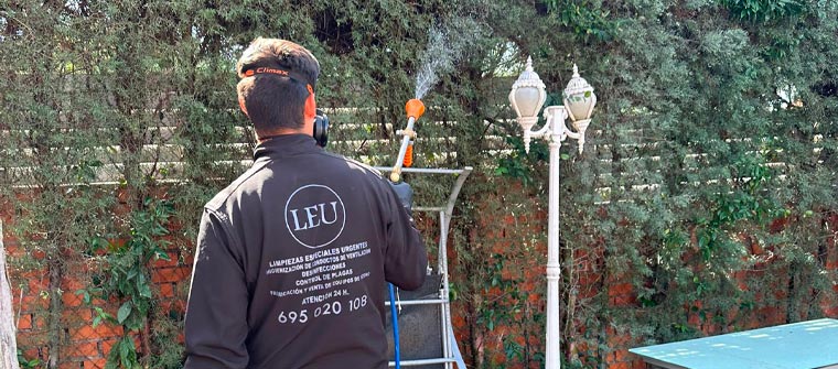 Plagas de jardin más comunes en Madrid