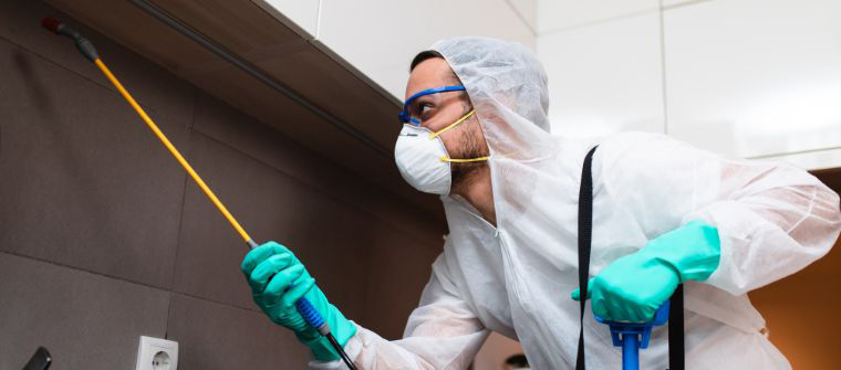 Fumigación de plaga en comunidad de propietarios